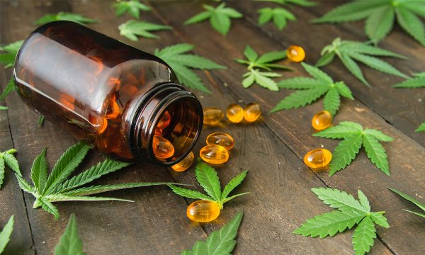 canabidiol da Hypera