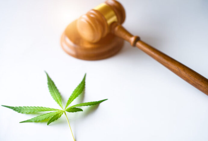 Imagem relacionada a: Cannabis na farmácia magistral tem mais um avanço