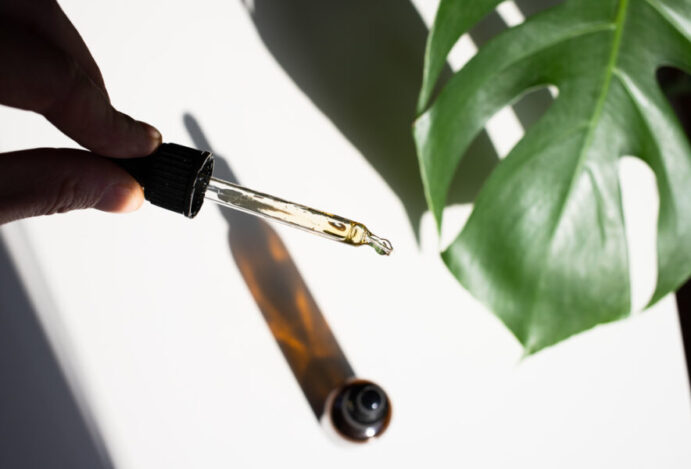 maior concentração de THC