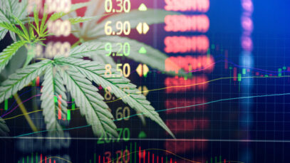 Mercado de cannabis pode faturar US$ 30 bilhões no Brasil