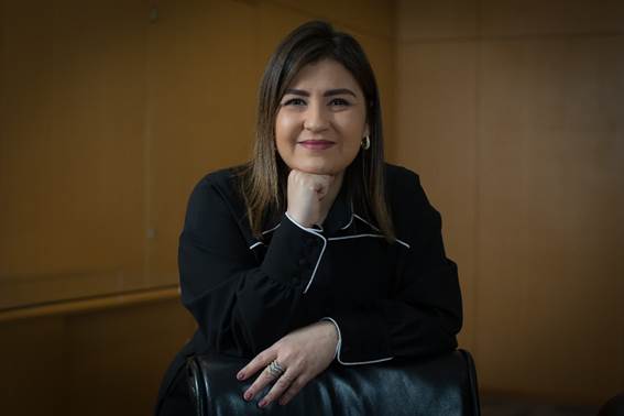 conselho de administração