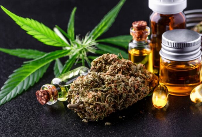 prescrição de cannabis