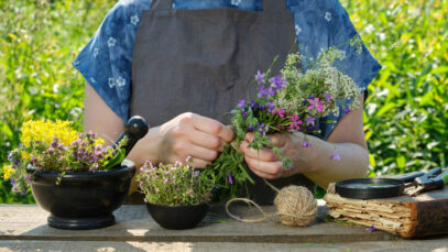 Farmácia viva surge como opção para a saúde no Sertão Pernambucano