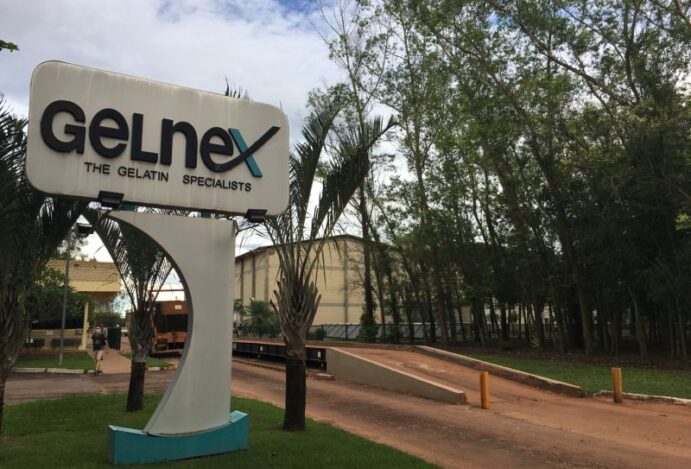 indústria de colágeno