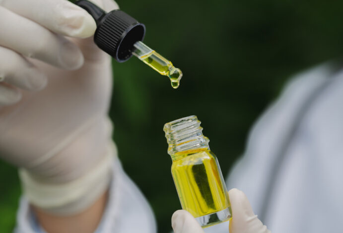 manipulação de cannabis