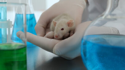 FDA deixa de exigir testes de medicamentos em animais