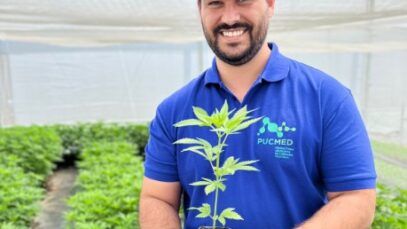 Startup de cannabis se prepara para abrir capital