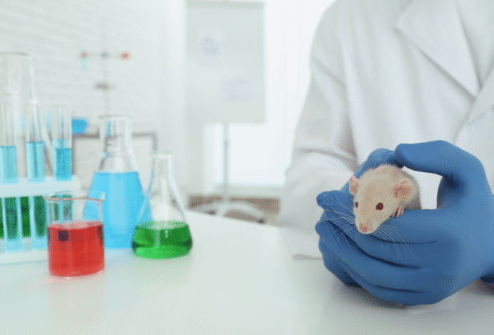 uso de animais em testes