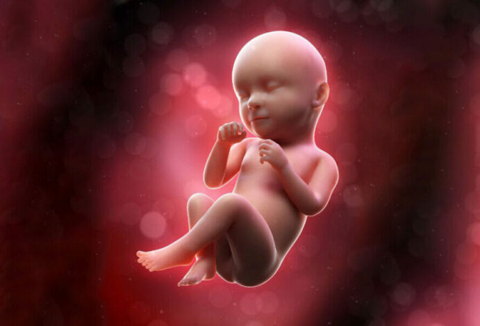 29 semanas de gestação