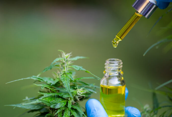 Cannabis ganha espaço exclusivo no Panorama Farmacêutico