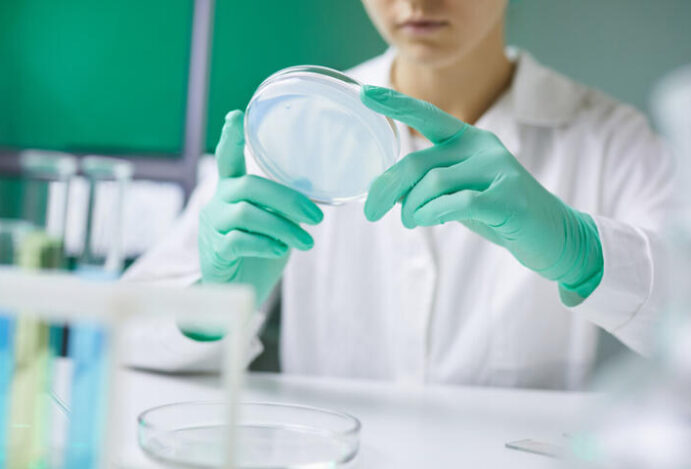 Indústria, LeaderShe