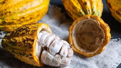 Benefícios do cacau