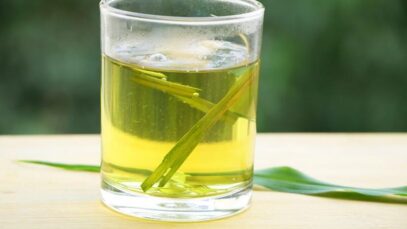 Conheça as propriedades medicinais do capim-santo