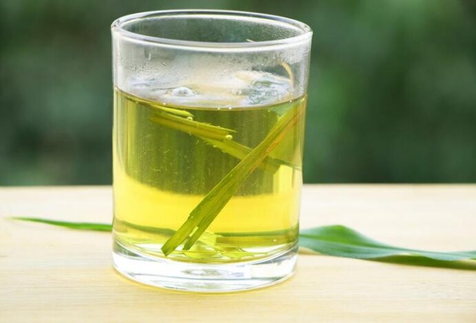 Imagem relacionada a: Conheça as propriedades medicinais do capim-santo