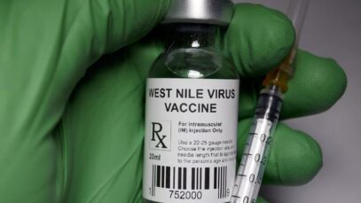 Vírus do Nilo Ocidental