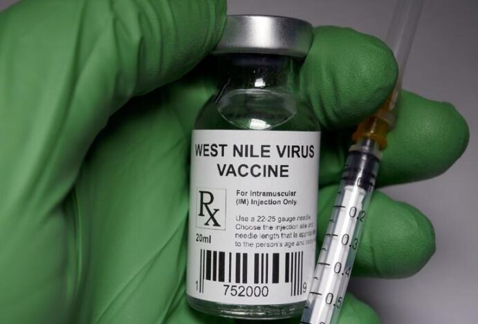 Vírus do Nilo Ocidental