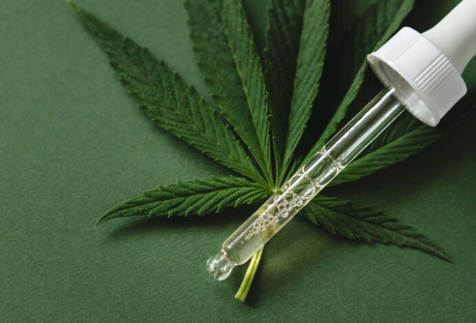 banco genético de cannabis