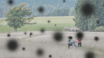 Retinopatia diabética