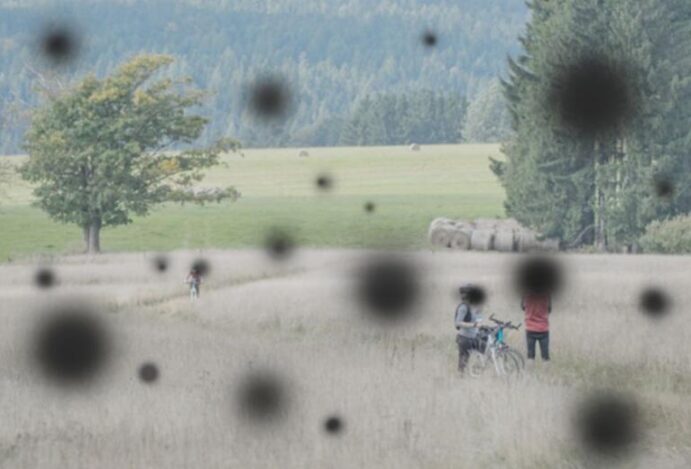 Retinopatia diabética