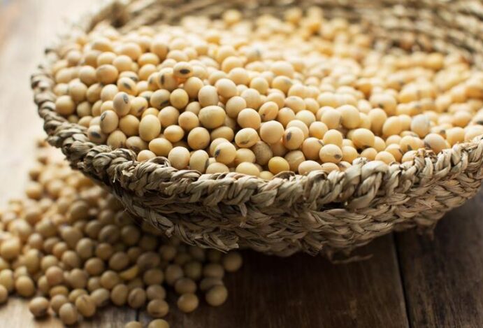 Benefícios da soja
