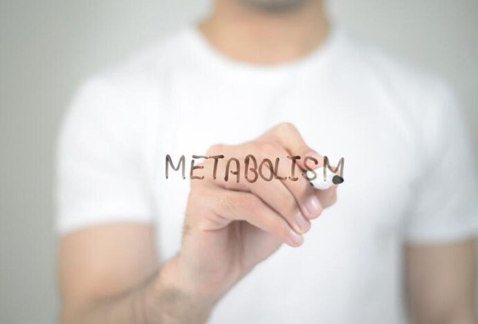 Metabolismo