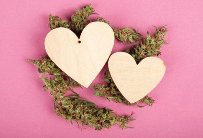 Entenda os impactos da cannabis para doenças crônicas