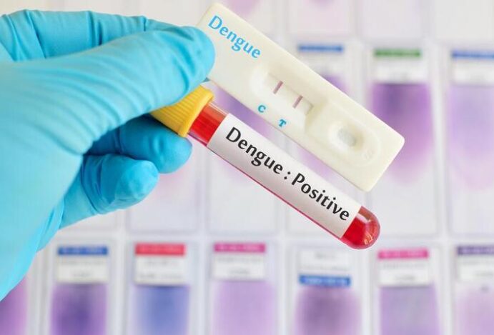 Autotestes para dengue