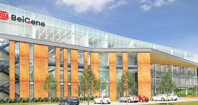 leucemia linfocítica crônica