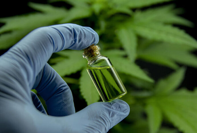 Cannabis medicinal nas farmácias