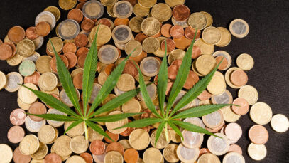 Fraude na venda de cannabis