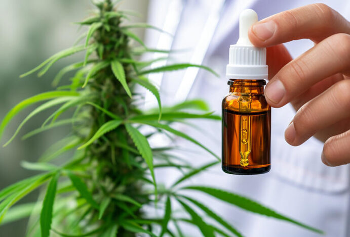 cannabis nas farmácias