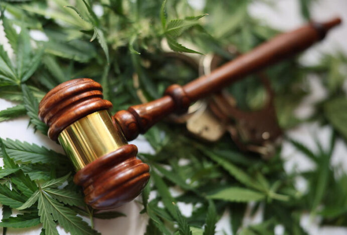 uso de cannabis medicinal