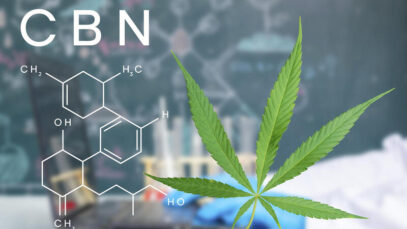 BENEFÍCIOS DO CBN Fitocanabinoide, CBN, Cannabis, cannabis medicinal, canabidiol, CBD