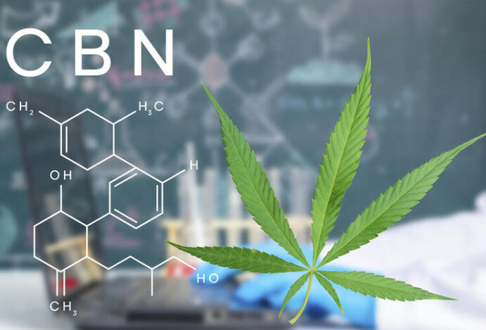 BENEFÍCIOS DO CBN Fitocanabinoide, CBN, Cannabis, cannabis medicinal, canabidiol, CBD
