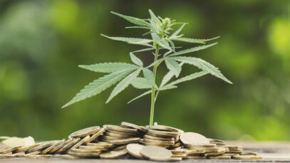 CONTRABANDO DE CANNABIS Mercado de cannabis, farmácias, cannabis medicinal, CBD