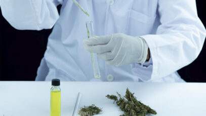 PESQUISAS CLÍNICAS SOBRE CANNABIS Cannabis, cannabis medicinal, pesquisas clínicas, indústria farmacêutica, financiamento