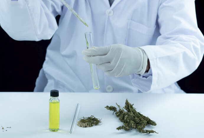 PESQUISAS CLÍNICAS SOBRE CANNABIS Cannabis, cannabis medicinal, pesquisas clínicas, indústria farmacêutica, financiamento