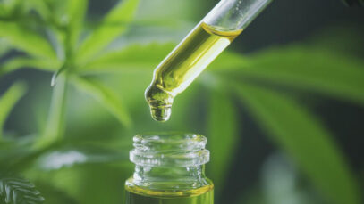 MERCADO DE CANNABIS NO NORDESTE, Canabidiol, cannabis medicinal, CBD