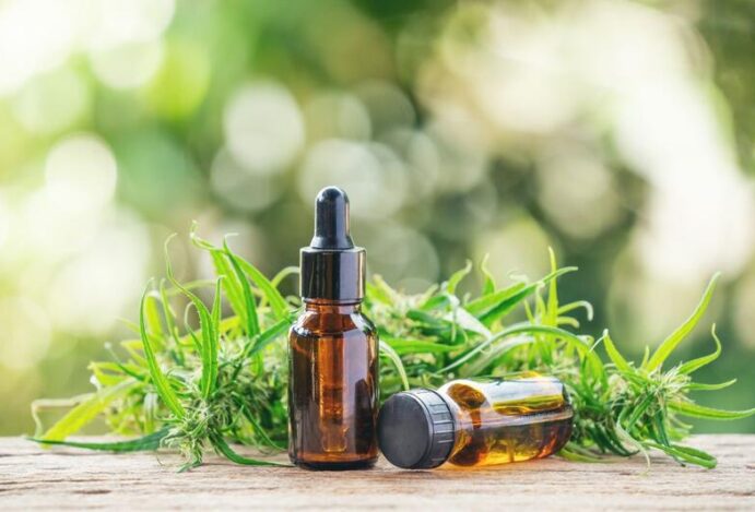 MERCADO DE CANNABIS MEDICINAL Canabidiol, CBD, Kaya Mind