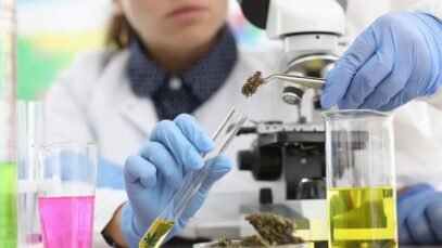 ESTUDOS CLÍNICOS COM CANNABIS Mercado de cannabis, canabidiol, cannabis medicinal, CBD
