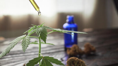 REGULAMENTAÇÃO DA CANNABIS Canabidiol, STJ, cannabis medicinal, Anvisa