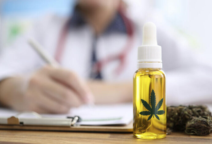 CAMPANHA SOBRE CANNABIS Cannabis, Curitiba, cannabis medicinal