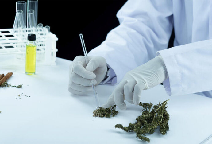RECURSOS PARA INOVAÇÃO Cannabis medicinal, Finep