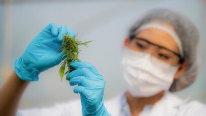 Congresso Brasileiro da Cannabis Medicinal terá masterclass