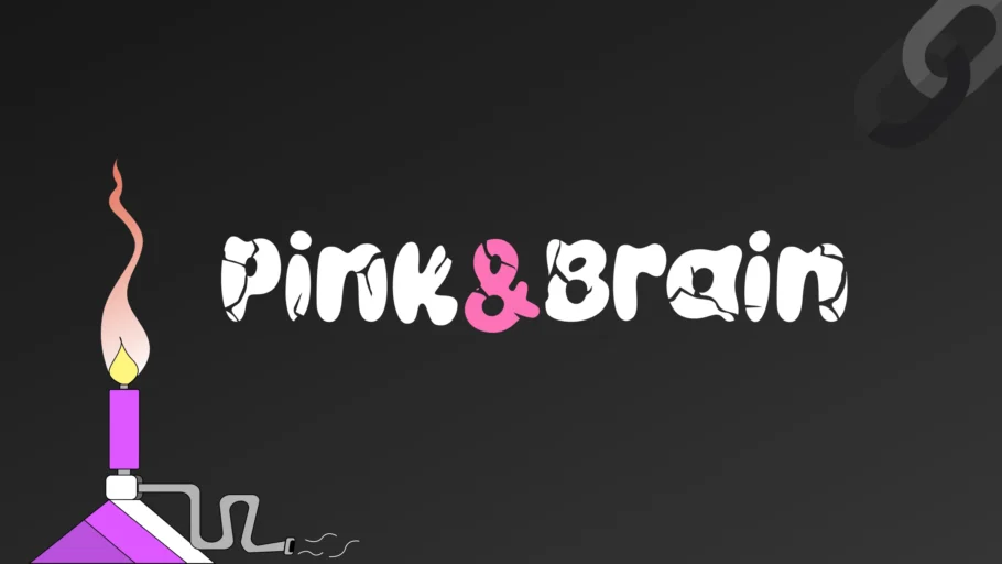 Pink and Brain Marketing Digital e Desenvolvimento Web